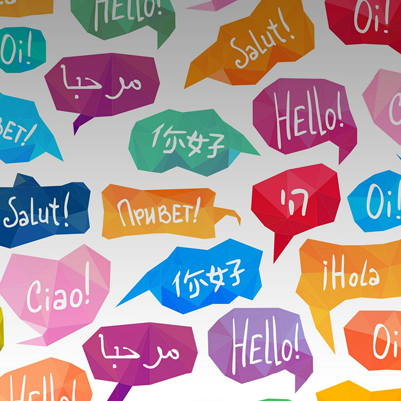 FOR TRANSLATORS